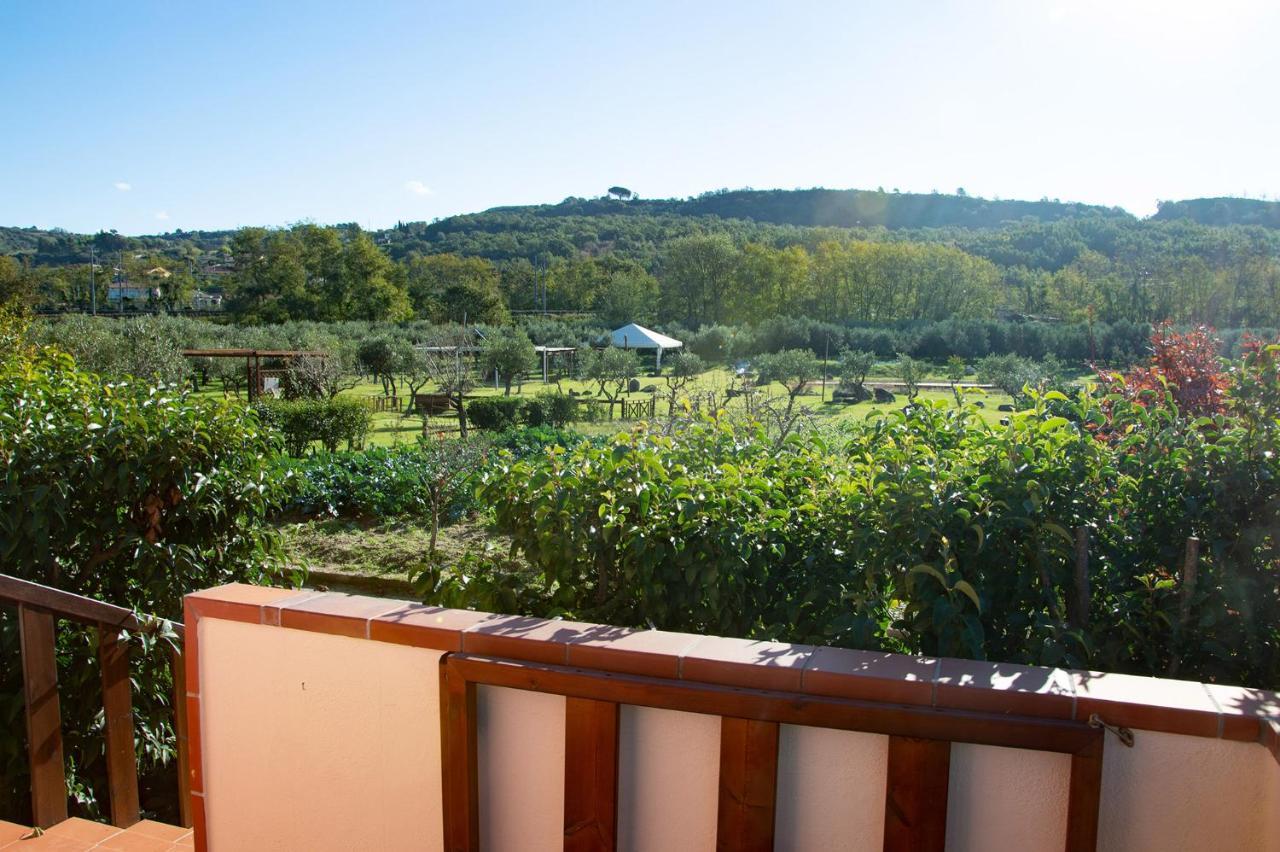 Iscairia Country House Ascea Exteriér fotografie